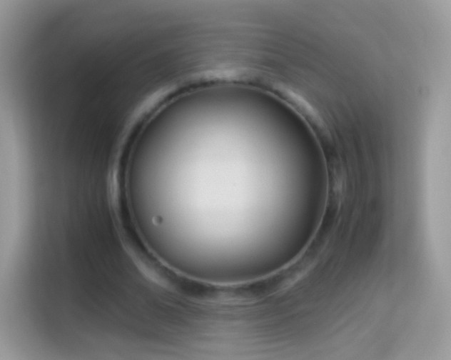 X0000114010678200910091424