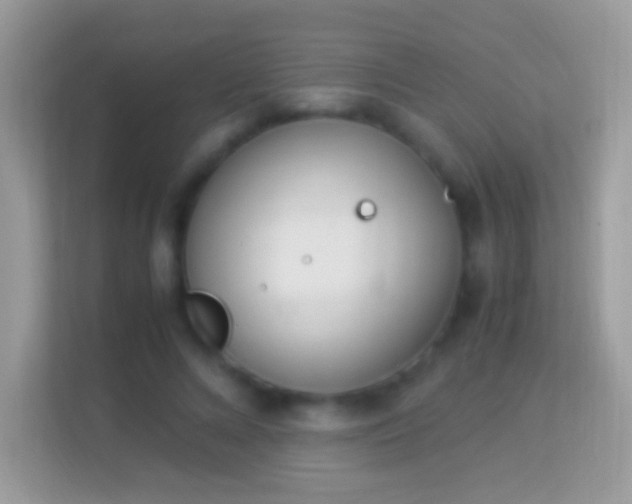 X0000114010688200910091424