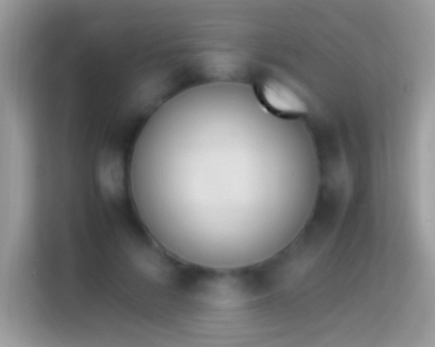 X0000114010696200910091424