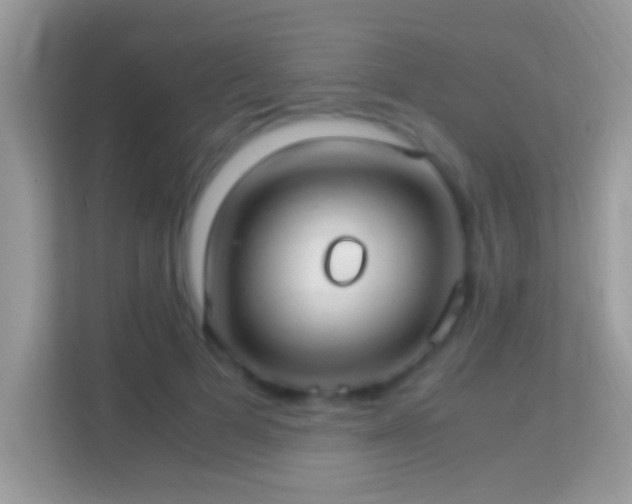 X0000114010697200910091424