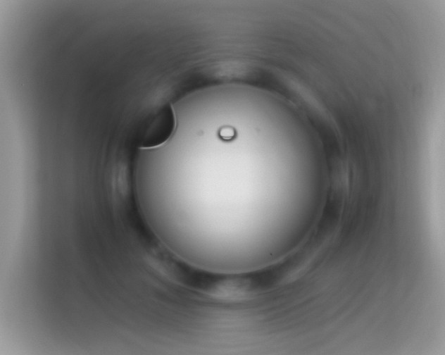 X0000114010700200910091424