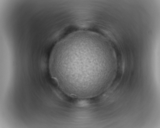 X0000114010710200910091424