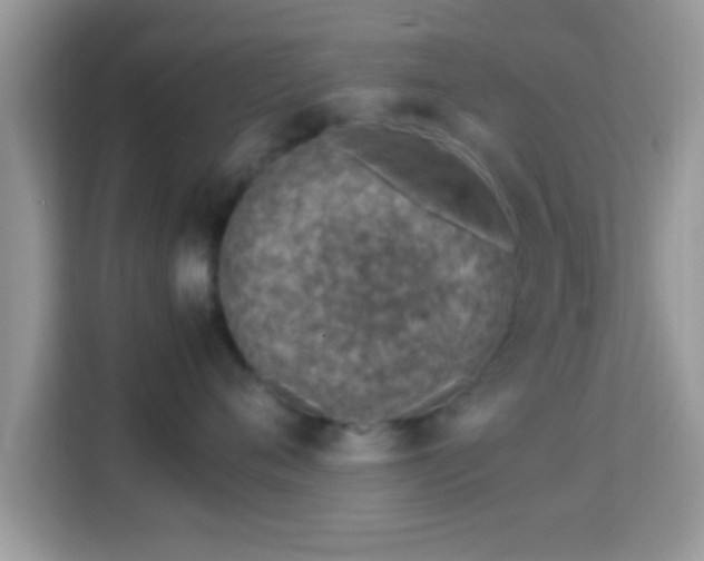X0000114010720200910091423