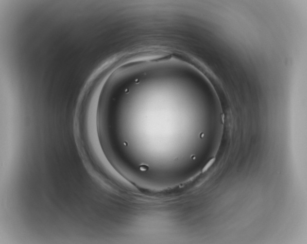 X0000114010726200910091423