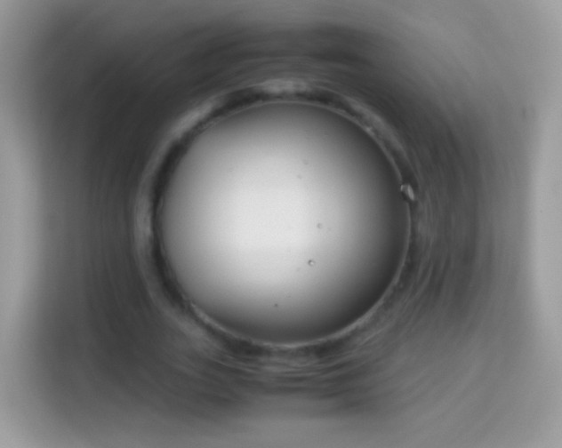 X0000114010727200910091423