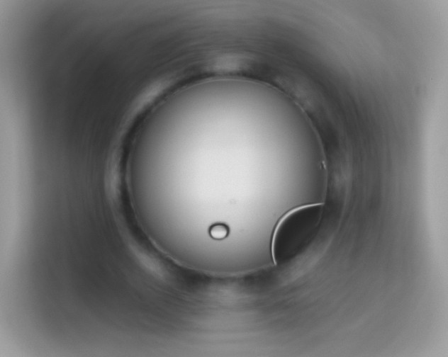 X0000114010728200910091423