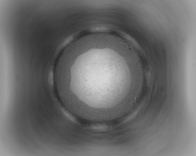 X0000114010729200910091423
