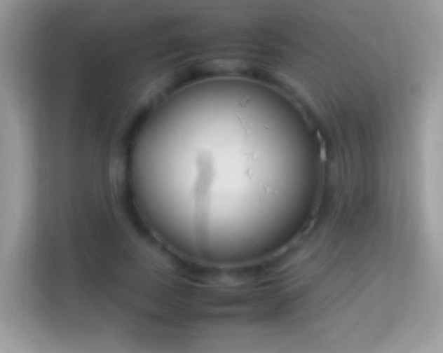 X0000114010739200910091423