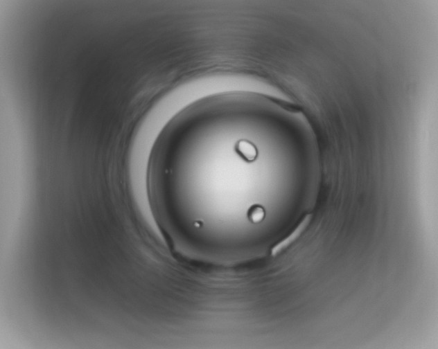 X0000114010740200910091423