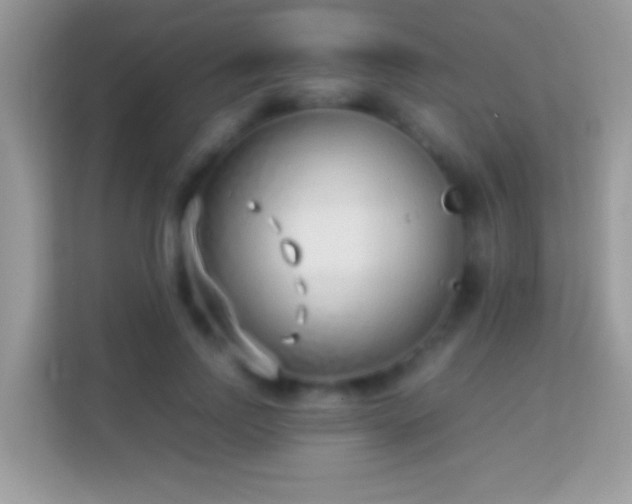 X0000114010742200910091423