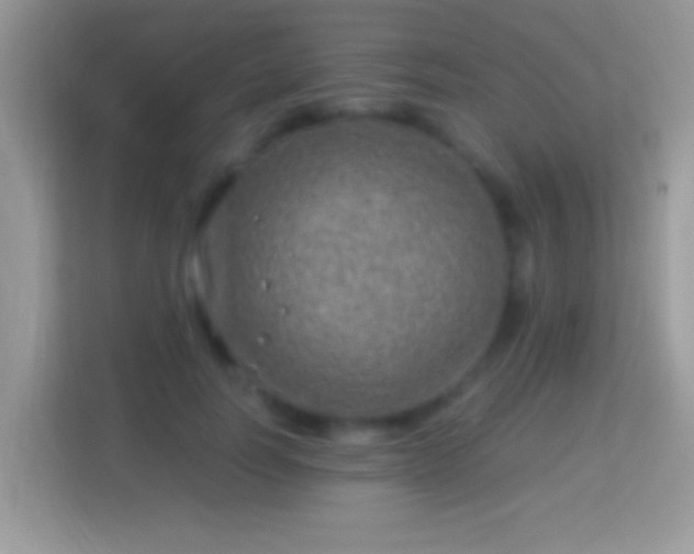 X0000114010746200910091423