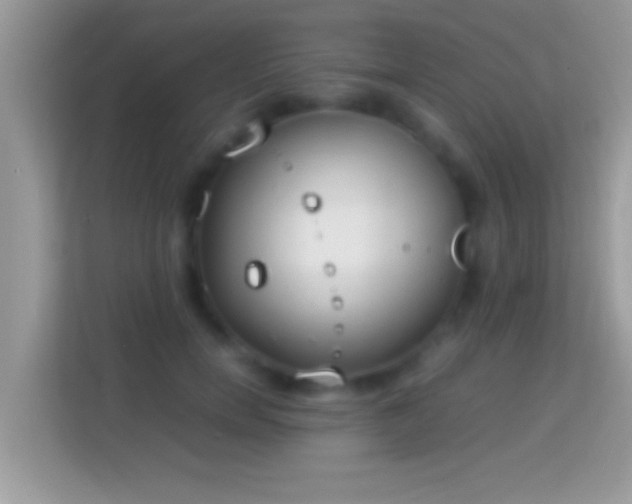 X0000114010750200910091423