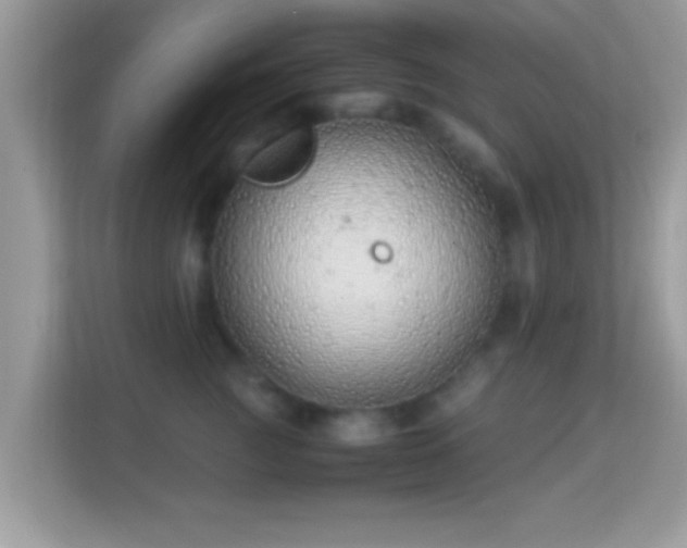 X0000114010761200910091423
