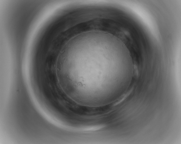 X0000114010765200910091423