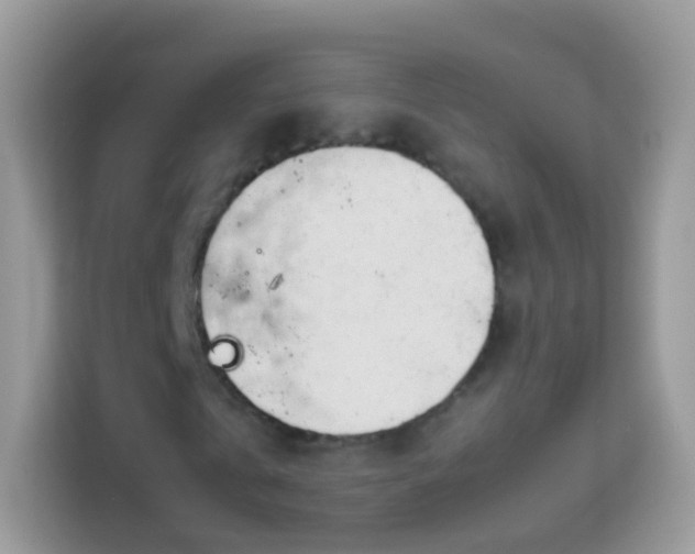 X0000114010769200910091423