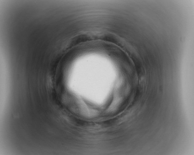 X0000114010772200910091423