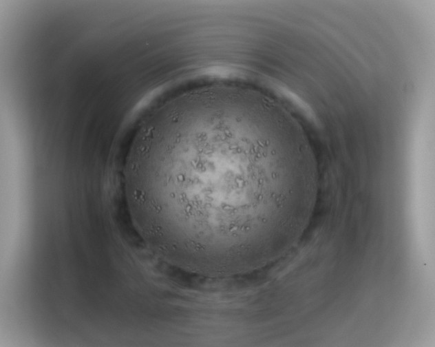 X0000114010776200910091423