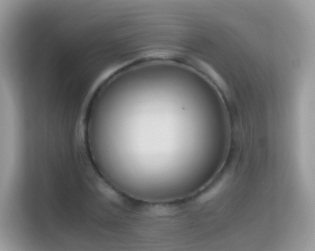 X0000114010779200910091423