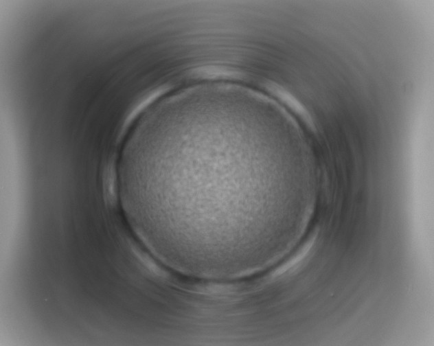 X0000114010782200910091423