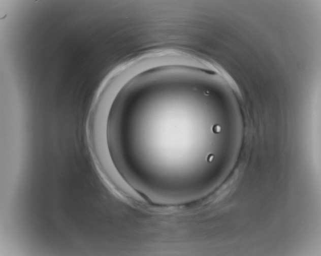 X0000114010813200910091422