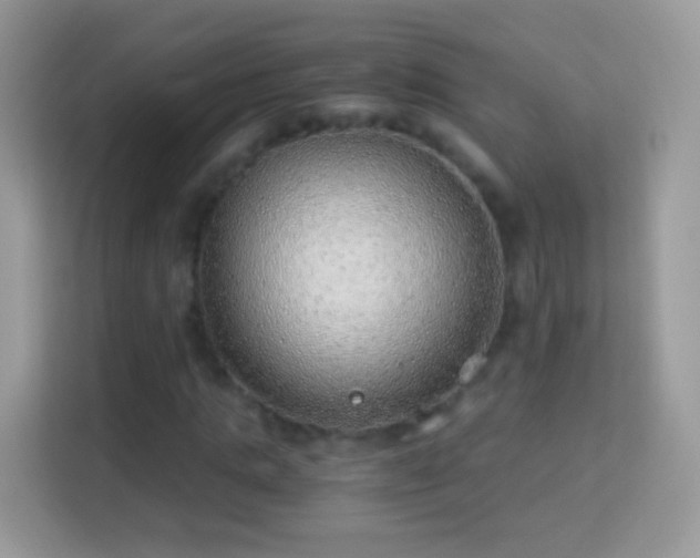 X0000114010821200910091422