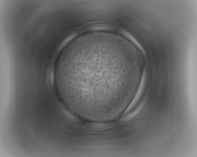 X0000114010829200910091422