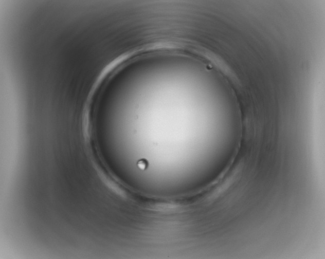 X0000114010838200910091422