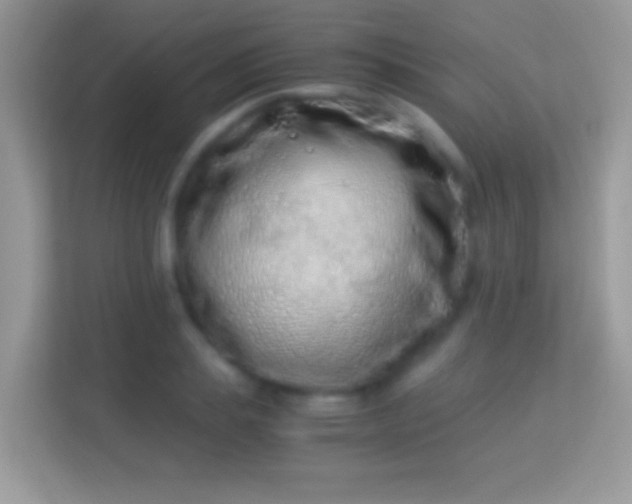 X0000114010839200910091422