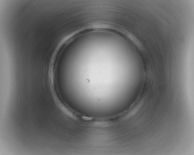 X0000114010840200910091422