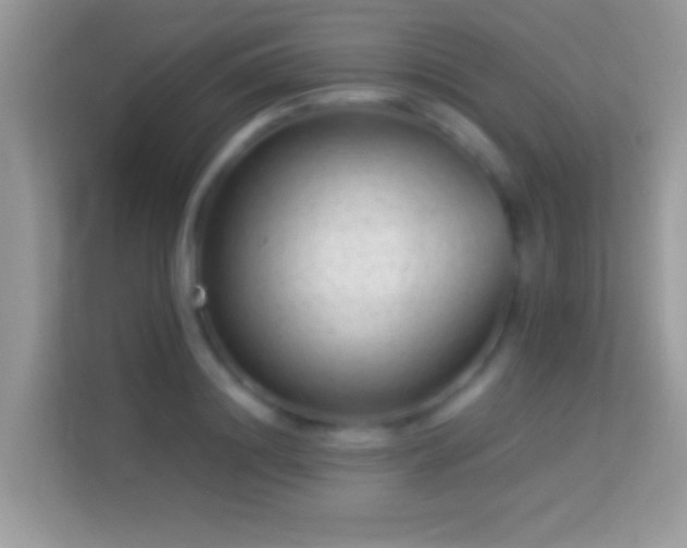 X0000114010844200910091422