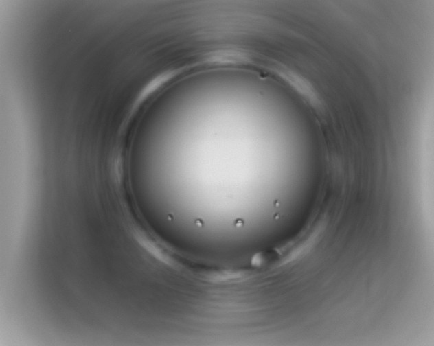 X0000114010846200910091422