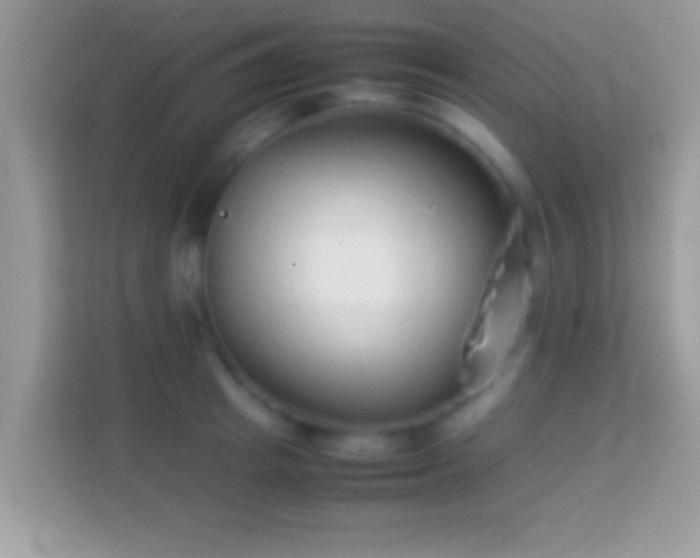 X0000114010849200910091422