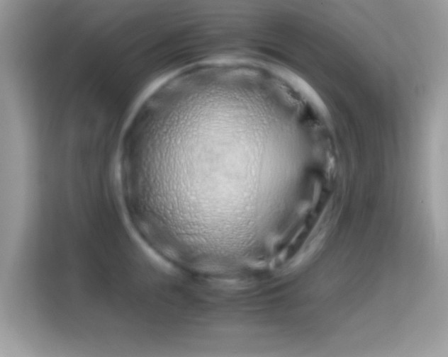 X0000114010855200910091422