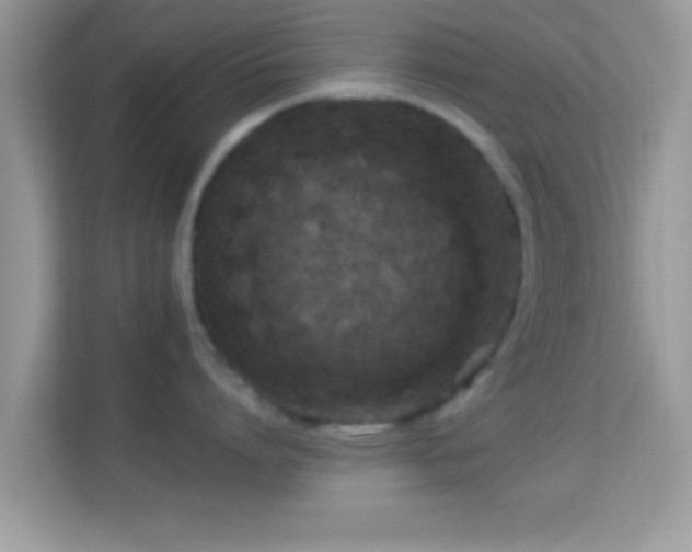 X0000114010864200910091422