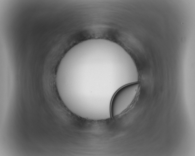X0000114010865200910091422