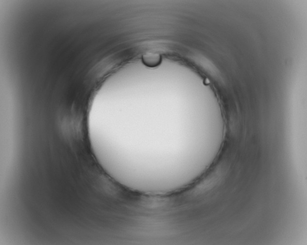 X0000114010873200910091421