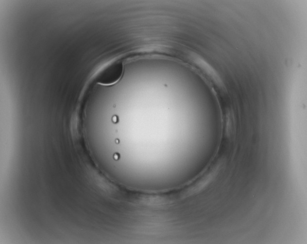 X0000114010876200910091421