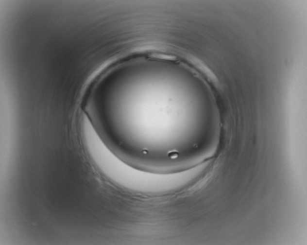 X0000114010877200910091421