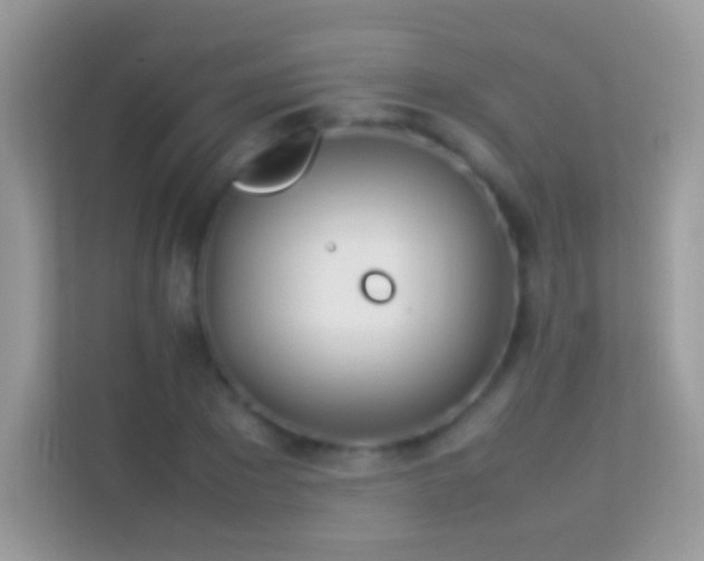 X0000114010881200910091421