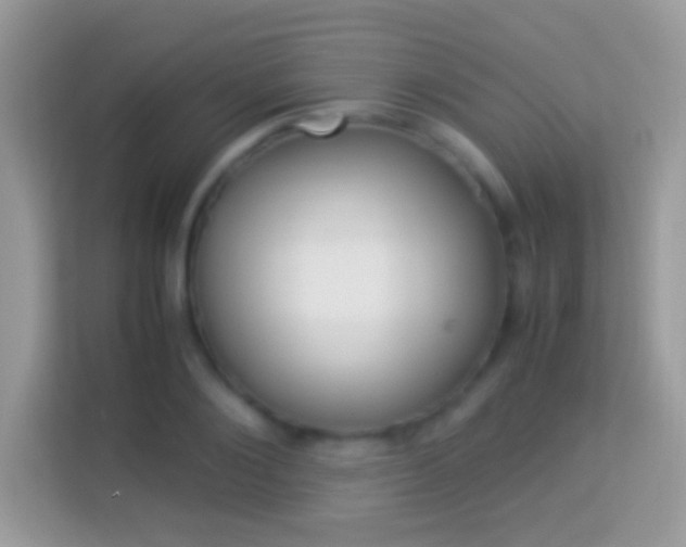X0000114010884200910091421