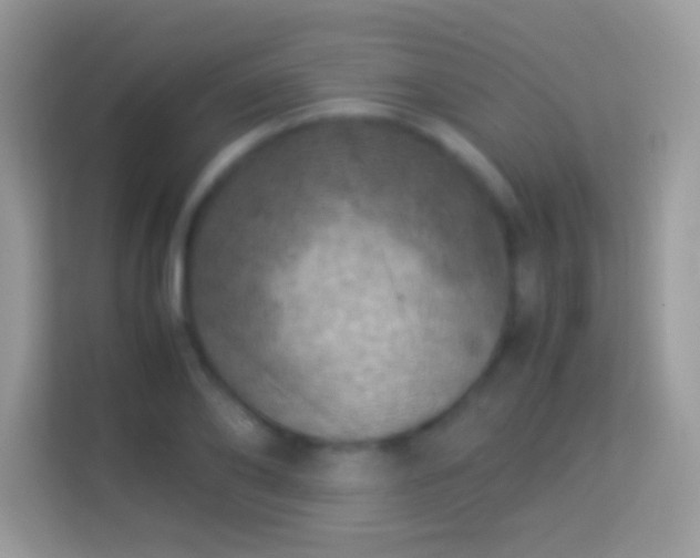 X0000114010886200910091421
