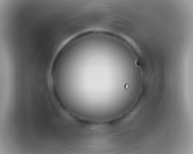 X0000114010887200910091421