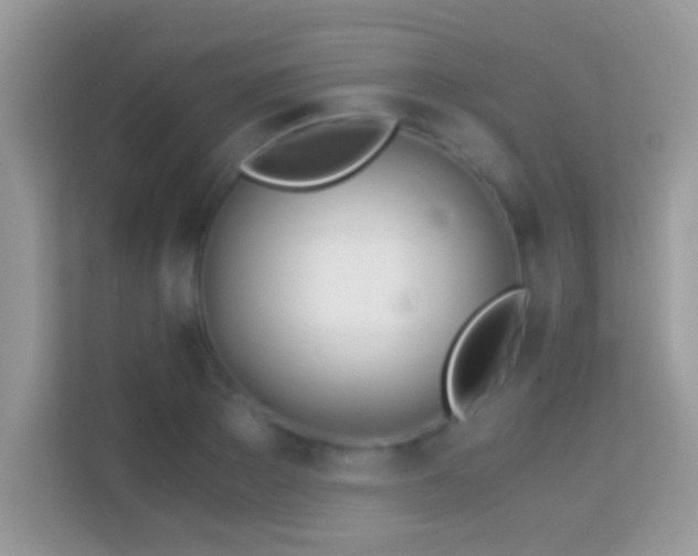 X0000114010889200910091421