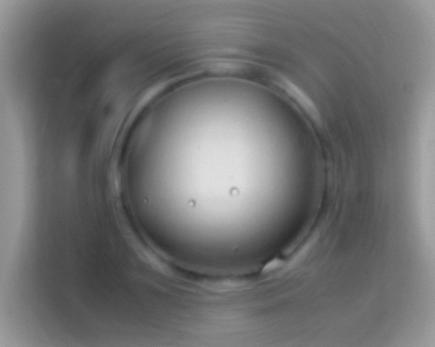 X0000114010891200910091421