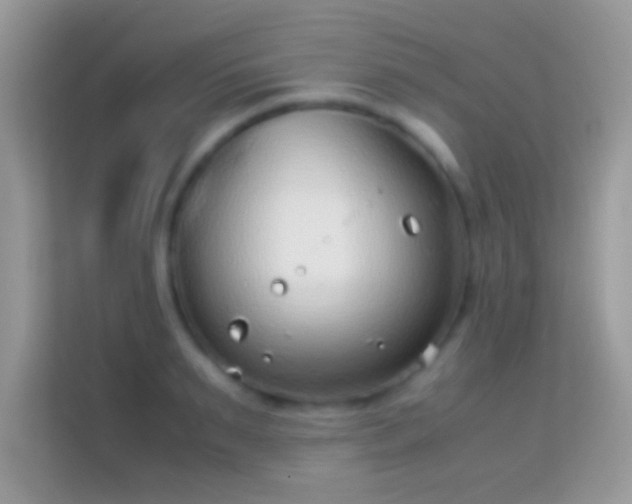 X0000114010895200910091421