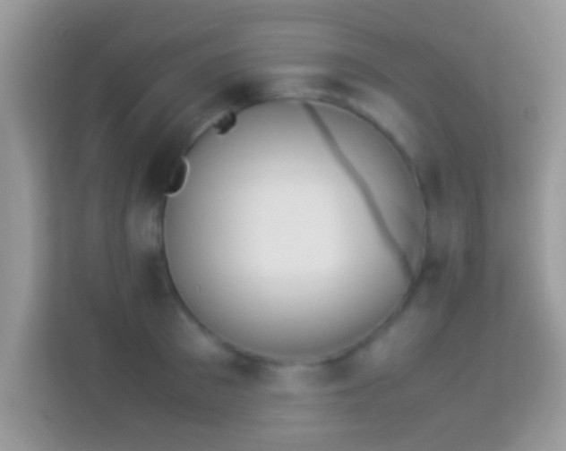 X0000114010897200910091421