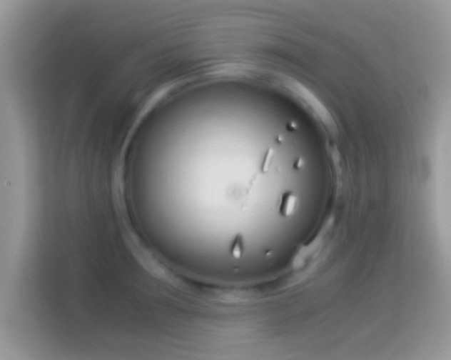 X0000114010899200910091421