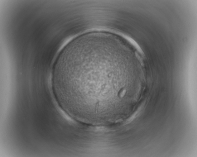 X0000114010903200910091421