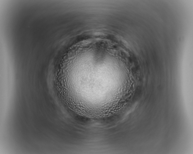 X0000114010913200910091420