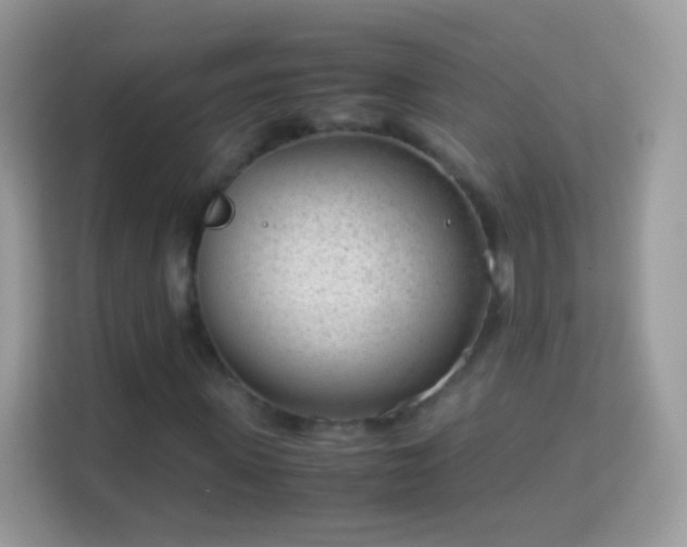 X0000114010915200910091420